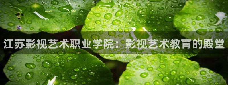 浮力影院50826 相关内容：江苏影视艺术职业学院：影视艺术教育的殿堂