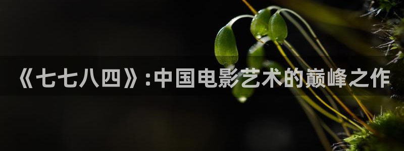最新国产浮力影院：《七七八四》:中国电影艺术的巅峰之作