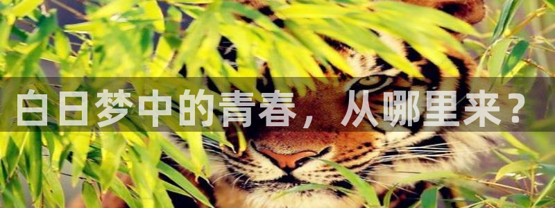 浮力影院第一页：白日梦中的青春，从哪里来？