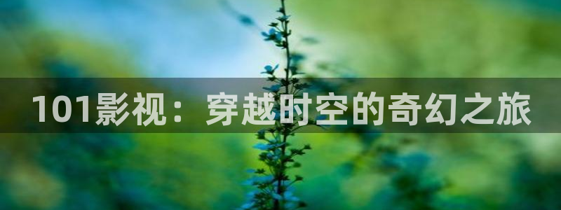 国产浮力草草影院：101影视：穿越时空的奇幻之旅
