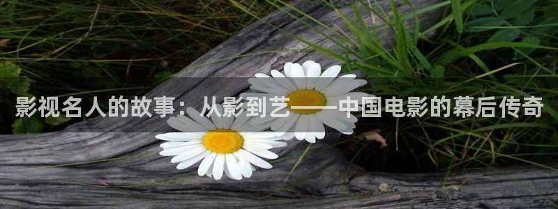 无限资源浮力影院：影视名人的故事：从影到艺——中国电影的幕后传奇
