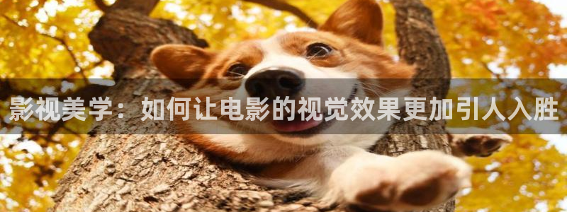 国产-第1页-浮力影院：影视美学：如何让电影的视觉效果更加引人入胜