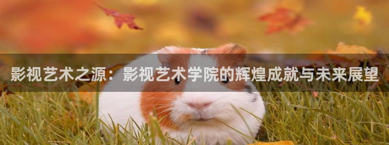 浮力影院一区：影视艺术之源：影视艺术学院的辉煌成就与未来展望