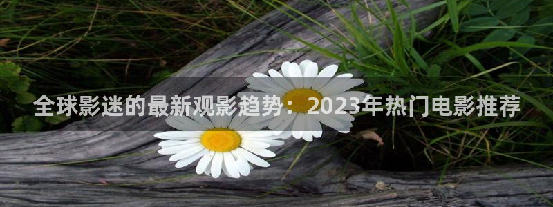 浮力影院一最新地此：全球影迷的最新观影趋势：2023年热门电影推荐