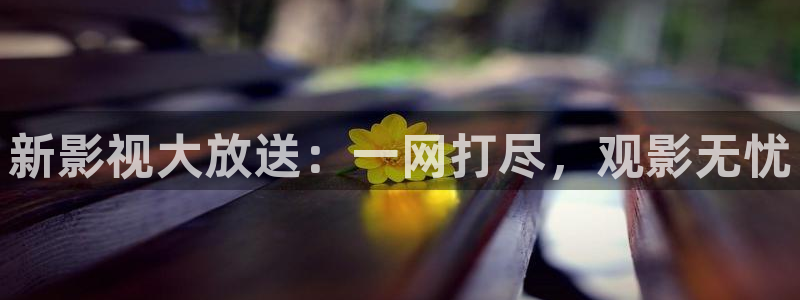wy浮力影院：新影视大放送：一网打尽，观影无忧